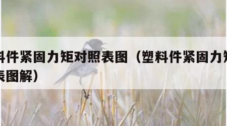 塑料件紧固力矩对照表图（塑料件紧固力矩对照表图解）