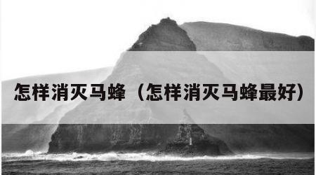 怎样消灭马蜂（怎样消灭马蜂最好）