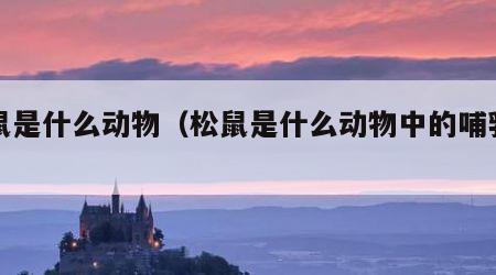 松鼠是什么动物（松鼠是什么动物中的哺乳动物）