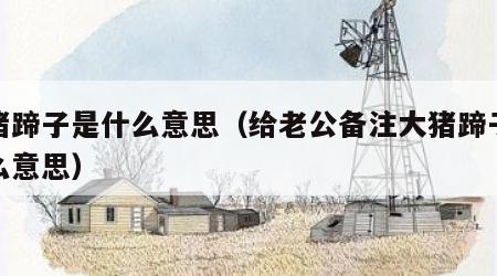 大猪蹄子是什么意思（给老公备注大猪蹄子是什么意思）