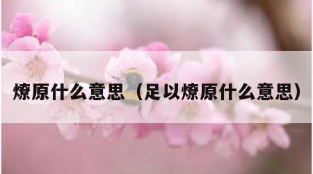 燎原什么意思（足以燎原什么意思）