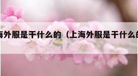上海外服是干什么的（上海外服是干什么的公司）