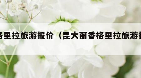 香格里拉旅游报价（昆大丽香格里拉旅游报价）