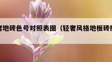 轻奢地砖色号对照表图（轻奢风格地板砖搭配）