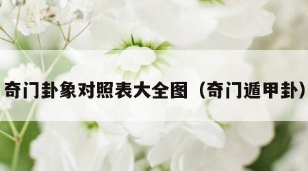 奇门卦象对照表大全图（奇门遁甲卦）
