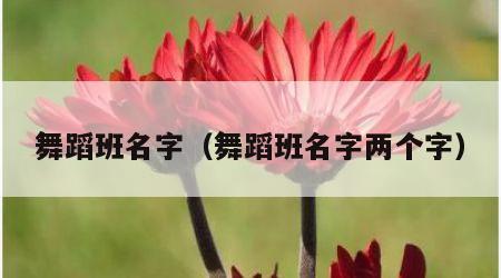 舞蹈班名字（舞蹈班名字两个字）