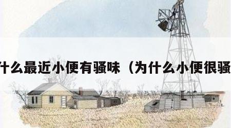 为什么最近小便有骚味（为什么小便很骚味）