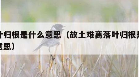 落叶归根是什么意思（故土难离落叶归根是什么意思）