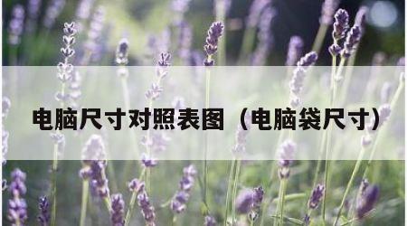 电脑尺寸对照表图（电脑袋尺寸）