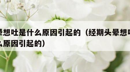 头晕想吐是什么原因引起的（经期头晕想吐是什么原因引起的）