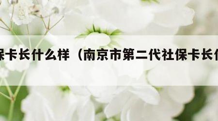 社保卡长什么样（南京市第二代社保卡长什么样）