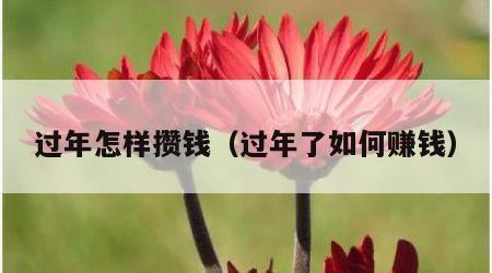 过年怎样攒钱（过年了如何赚钱）