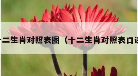十二生肖对照表图（十二生肖对照表口诀）