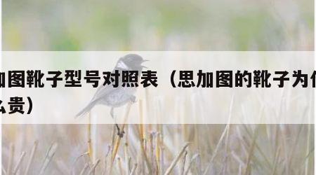思加图靴子型号对照表（思加图的靴子为什么那么贵）
