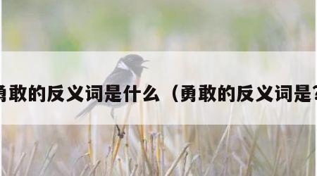 勇敢的反义词是什么（勇敢的反义词是?）