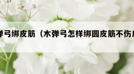 木弹弓绑皮筋（木弹弓怎样绑圆皮筋不伤皮筋）