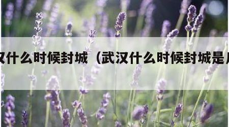 武汉什么时候封城（武汉什么时候封城是几号）