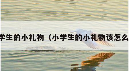 小学生的小礼物（小学生的小礼物该怎么做）
