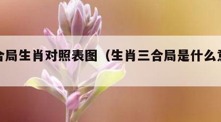 三合局生肖对照表图（生肖三合局是什么意思）