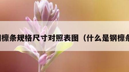 钢檩条规格尺寸对照表图（什么是钢檩条）