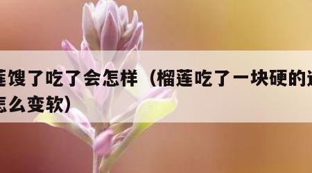 榴莲馊了吃了会怎样（榴莲吃了一块硬的还可以怎么变软）