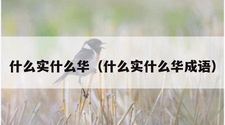 什么实什么华（什么实什么华成语）