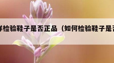 怎样检验鞋子是否正品（如何检验鞋子是否正品）