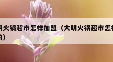 大明火锅超市怎样加盟（大明火锅超市怎样加盟的）