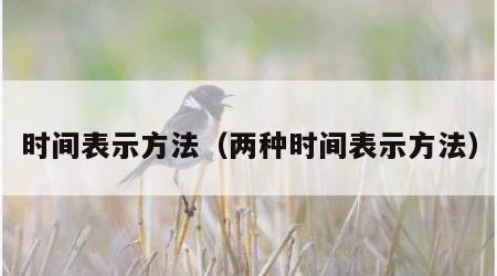 时间表示方法（两种时间表示方法）
