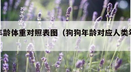 狗年龄体重对照表图（狗狗年龄对应人类年龄）
