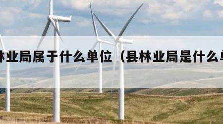 县林业局属于什么单位（县林业局是什么单位）