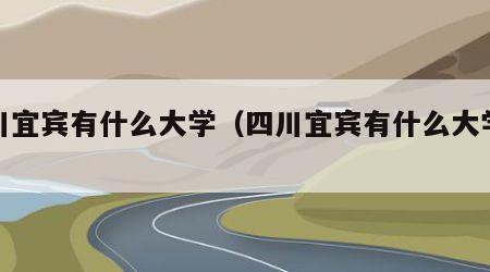 四川宜宾有什么大学（四川宜宾有什么大学本科）