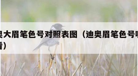 迪奥大眉笔色号对照表图（迪奥眉笔色号哪款好看）