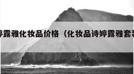 诗婷露雅化妆品价格（化妆品诗婷露雅套装价格）