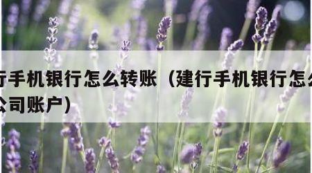 建行手机银行怎么转账（建行手机银行怎么转账公司账户）