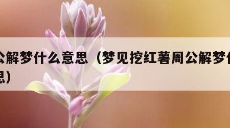 周公解梦什么意思（梦见挖红薯周公解梦什么意思）