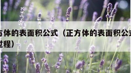 正方体的表面积公式（正方体的表面积公式推导过程）