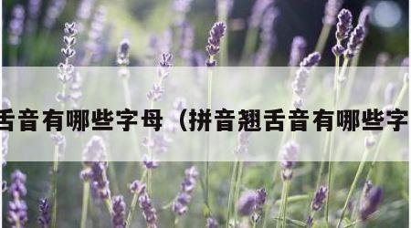 翘舌音有哪些字母（拼音翘舌音有哪些字母）