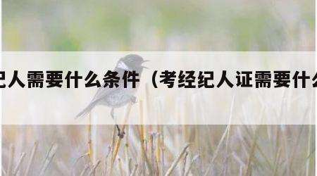 经纪人需要什么条件（考经纪人证需要什么条件）