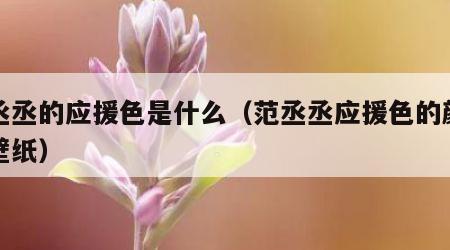 范丞丞的应援色是什么（范丞丞应援色的颜色的壁纸）