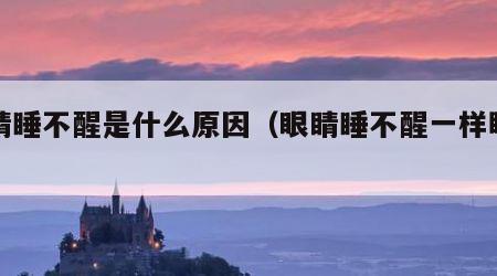 眼睛睡不醒是什么原因（眼睛睡不醒一样睁不开）