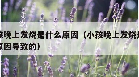 小孩晚上发烧是什么原因（小孩晚上发烧是什么原因导致的）