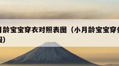 小月龄宝宝穿衣对照表图（小月龄宝宝穿什么衣服）