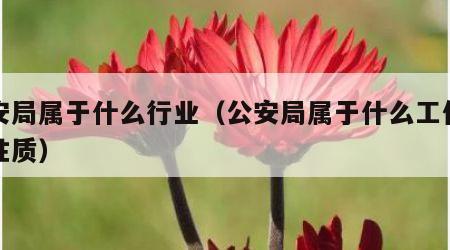 公安局属于什么行业（公安局属于什么工作单位性质）