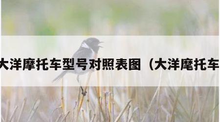 大洋摩托车型号对照表图（大洋麾托车）