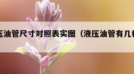 液压油管尺寸对照表实图（液压油管有几种型号）