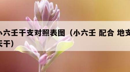 小六壬干支对照表图（小六壬 配合 地支 天干）