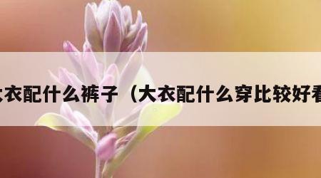 大衣配什么裤子（大衣配什么穿比较好看）