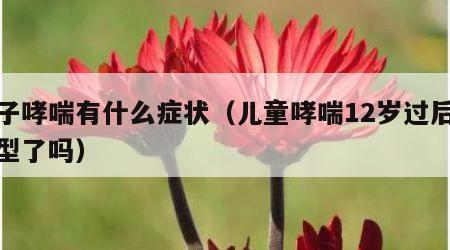 孩子哮喘有什么症状（儿童哮喘12岁过后就定型了吗）