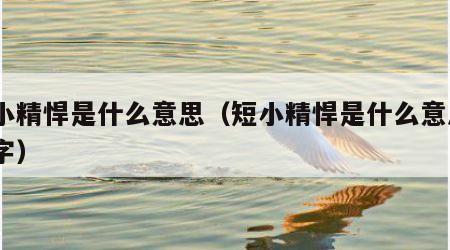 短小精悍是什么意思（短小精悍是什么意思5个字）